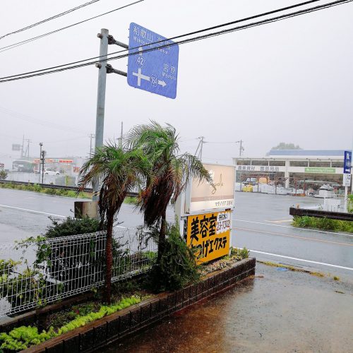 台風来てますので！臨時休業です！