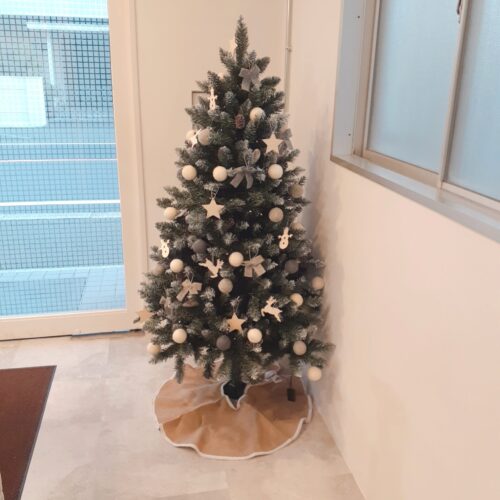 店内クリスマス模様になりました