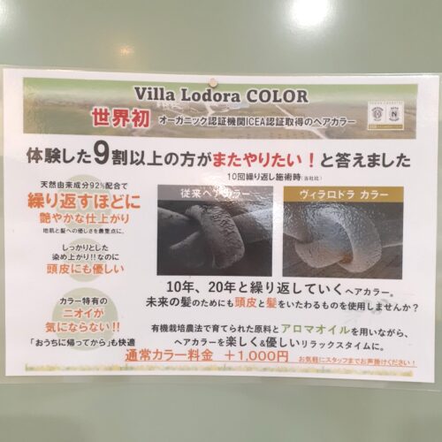 Villa Lodora カラーが入荷しました( *´艸｀)