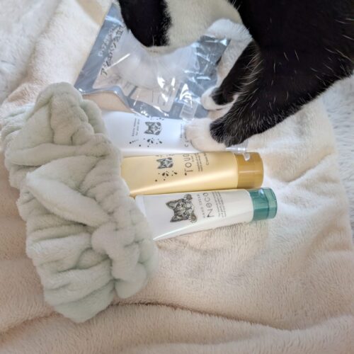 🐾 アジュバン限定スペシャルコフレ 登場