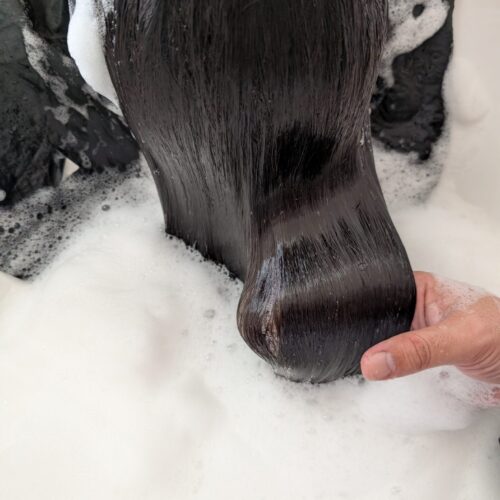 洗ったあと、なんか違う。そんな声が増えています｜マーブ体験は1月まで