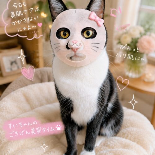 私（まる）の愛用パックをご紹介