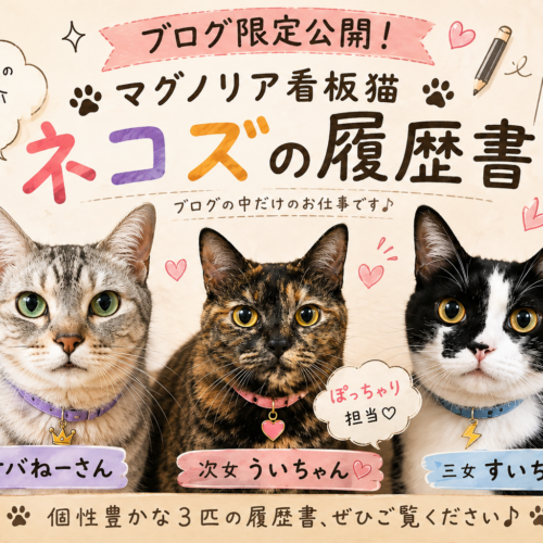 「ブログ限定公開！マグノリア看板猫『ネコズ』の履歴書🐾」